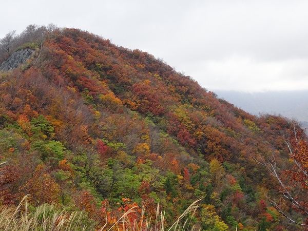 枝折峠