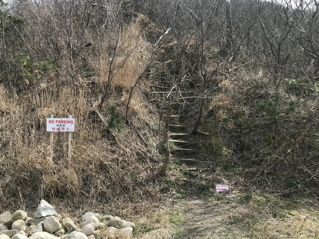 角田山　桜尾根