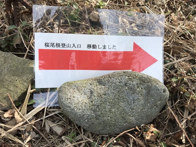 角田山　桜尾根