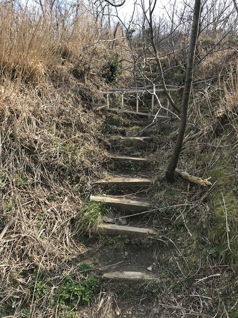 角田山　桜尾根