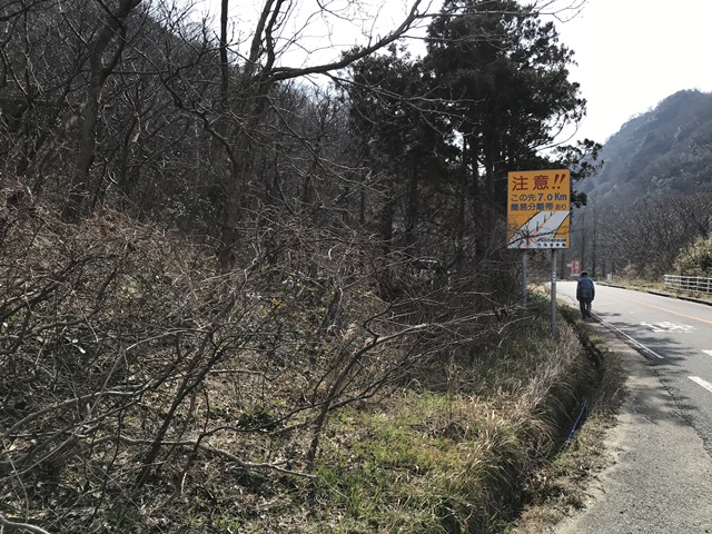 角田山　桜尾根