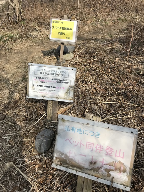 角田山　桜尾根