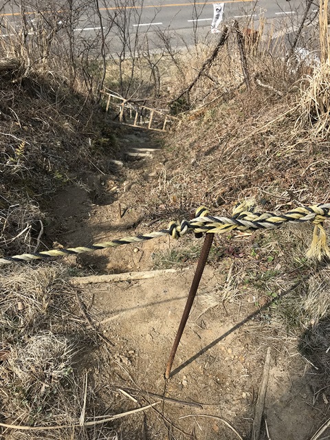 角田山　桜尾根