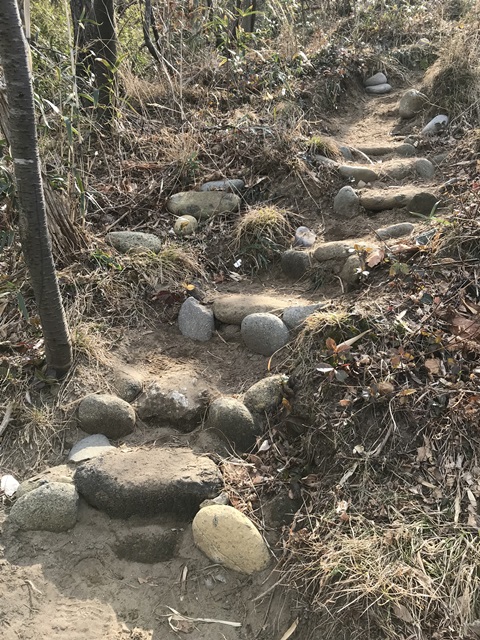 角田山　桜尾根