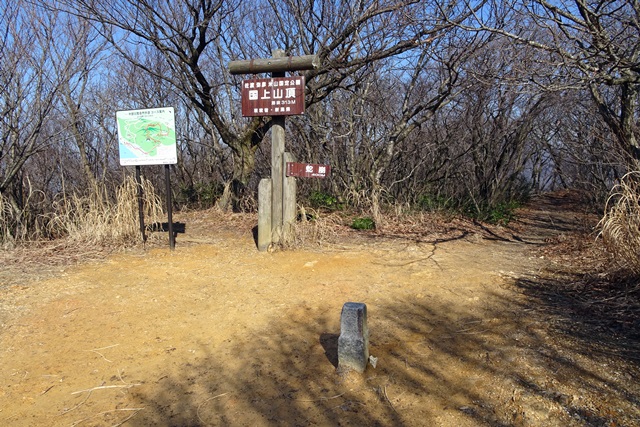 国上山登山雪割草