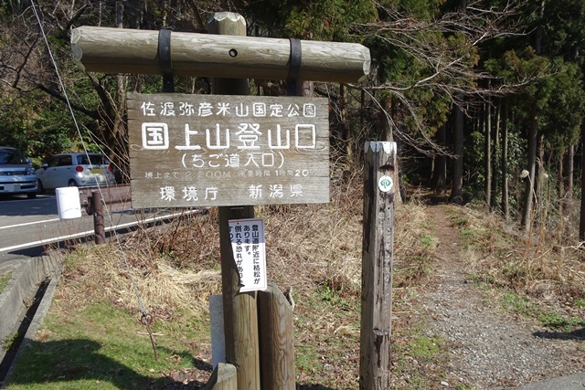 国上山登山雪割草