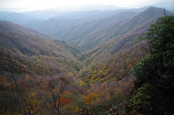 枝折峠