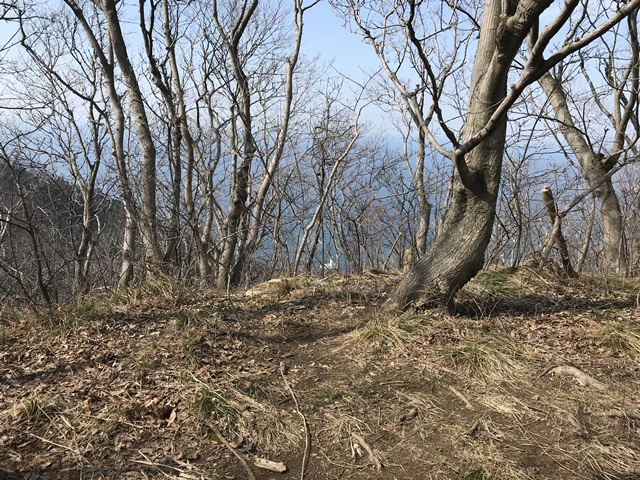 角田山　桜尾根