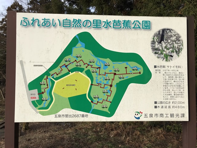 水芭蕉公園