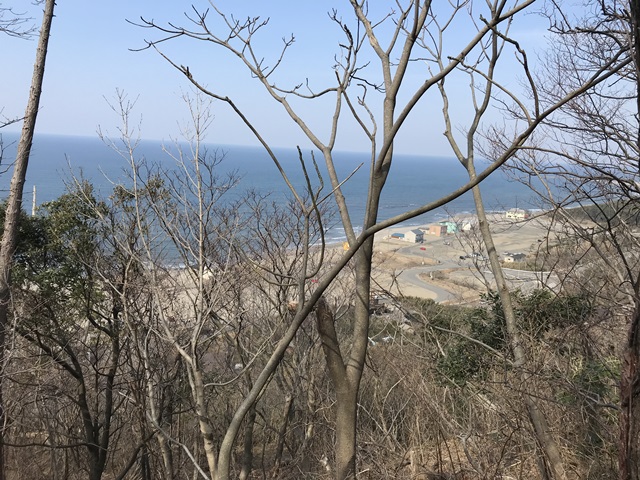 角田山　桜尾根