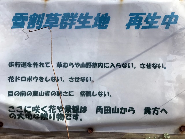 角田山　桜尾根