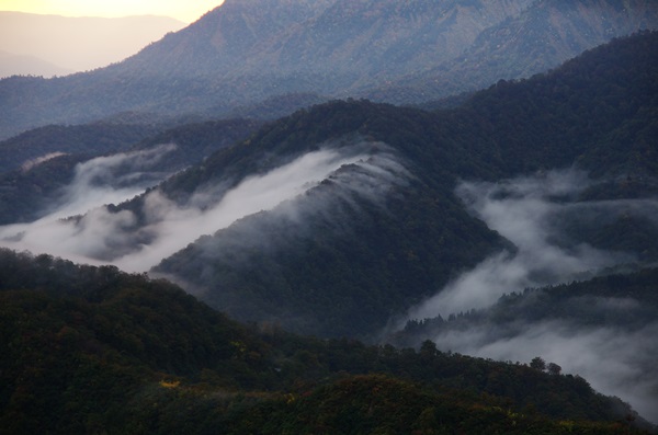 枝折峠