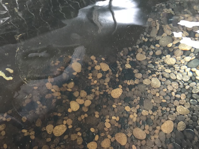 上関共同浴場