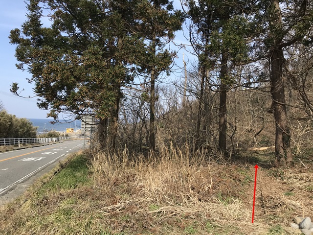 角田山　桜尾根