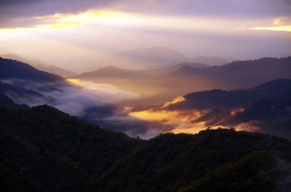 枝折峠