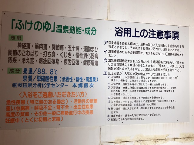 ふけの湯分析