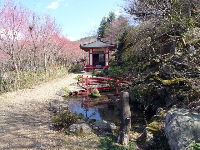 花見山
