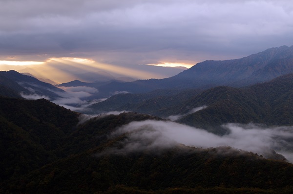 枝折峠