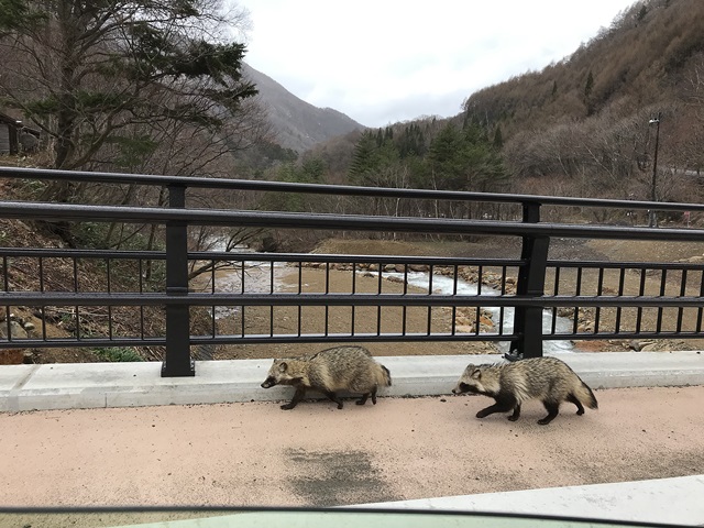 七味温泉　紅葉館