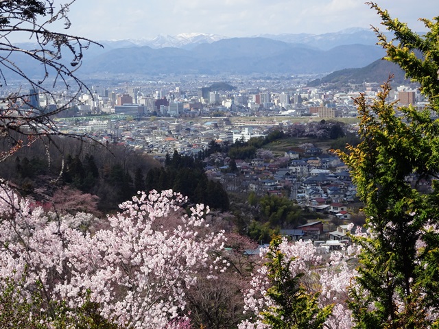 花見山