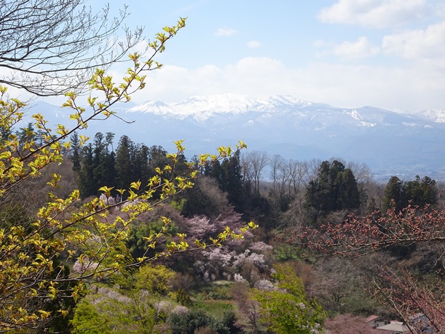 花見山