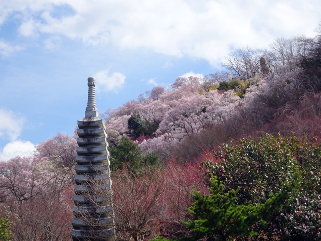 花見山
