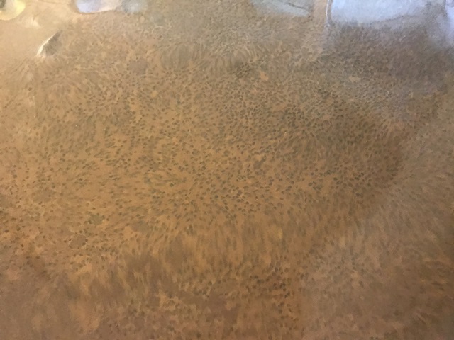 さぎの湯しらさぎ荘
