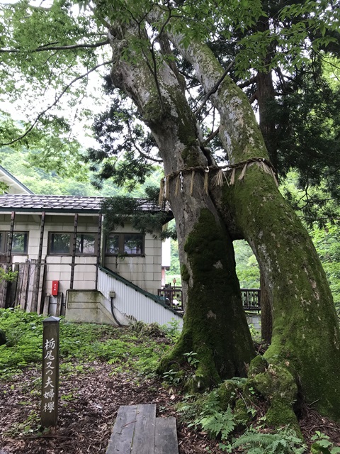 栃尾又温泉自在館