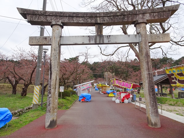 五泉