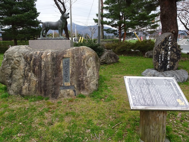 五泉