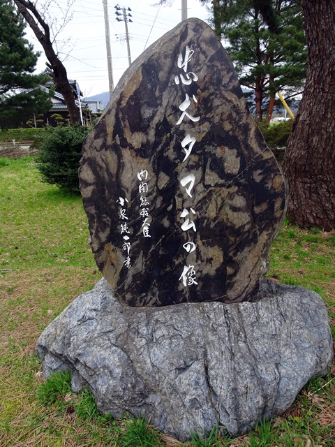 五泉