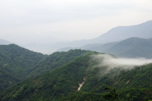 梅雨の枝折峠