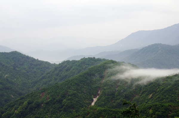 梅雨の枝折峠