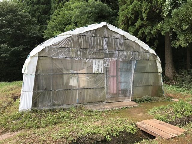 八九郎温泉