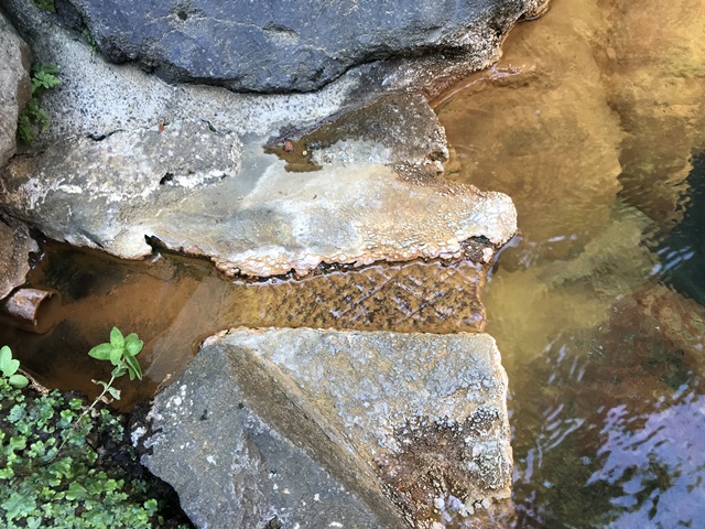姥の湯