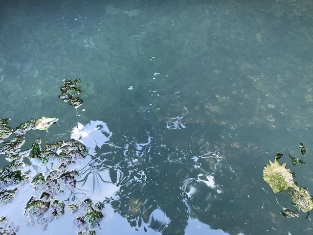 石抱温泉