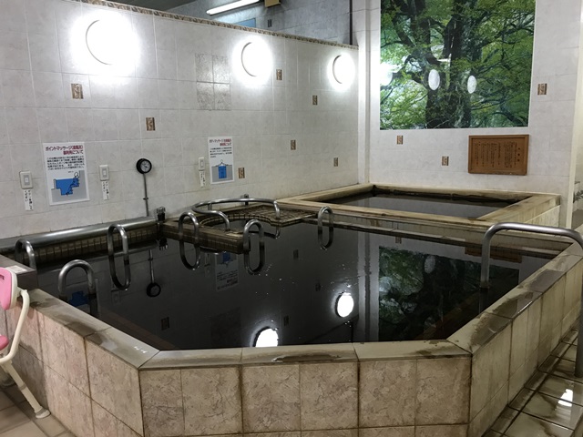 かみの湯温泉