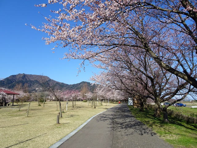 上堰潟公園