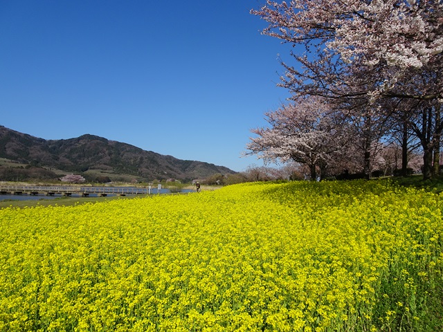 上堰潟公園