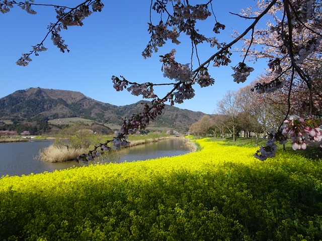 上堰潟公園