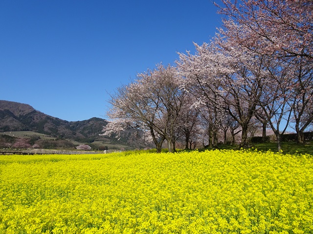 上堰潟公園
