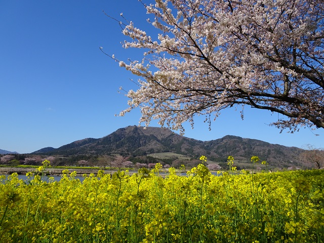 上堰潟公園