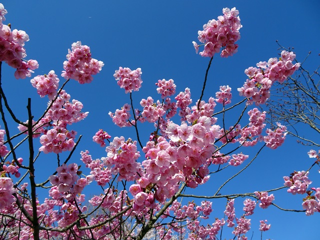 上堰潟公園