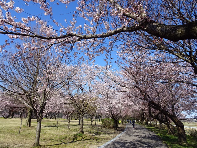 上堰潟公園