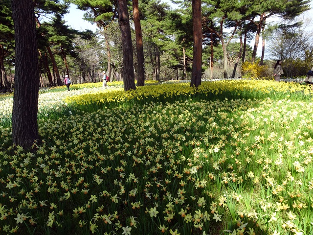 ひたち海浜公園