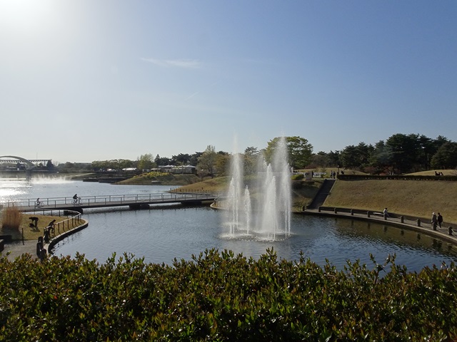 ひたち海浜公園